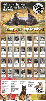 Adopt A Pet 2012