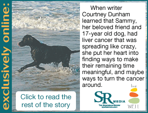 Saving Sammy