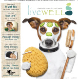 LiveWell Spring 2013