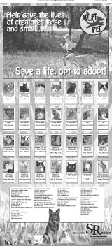 Adopt A Pet Spring 2013