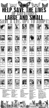 Adopt A Pet 2012