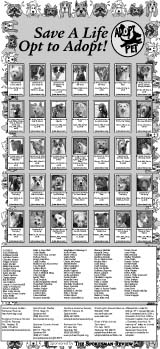 Adopt A Pet 2011