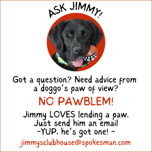 Ask Jimmy!