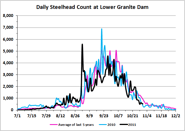 Steelhead chart for Lower Granite Dam as of 11-1-11. (Fish Passage Center)