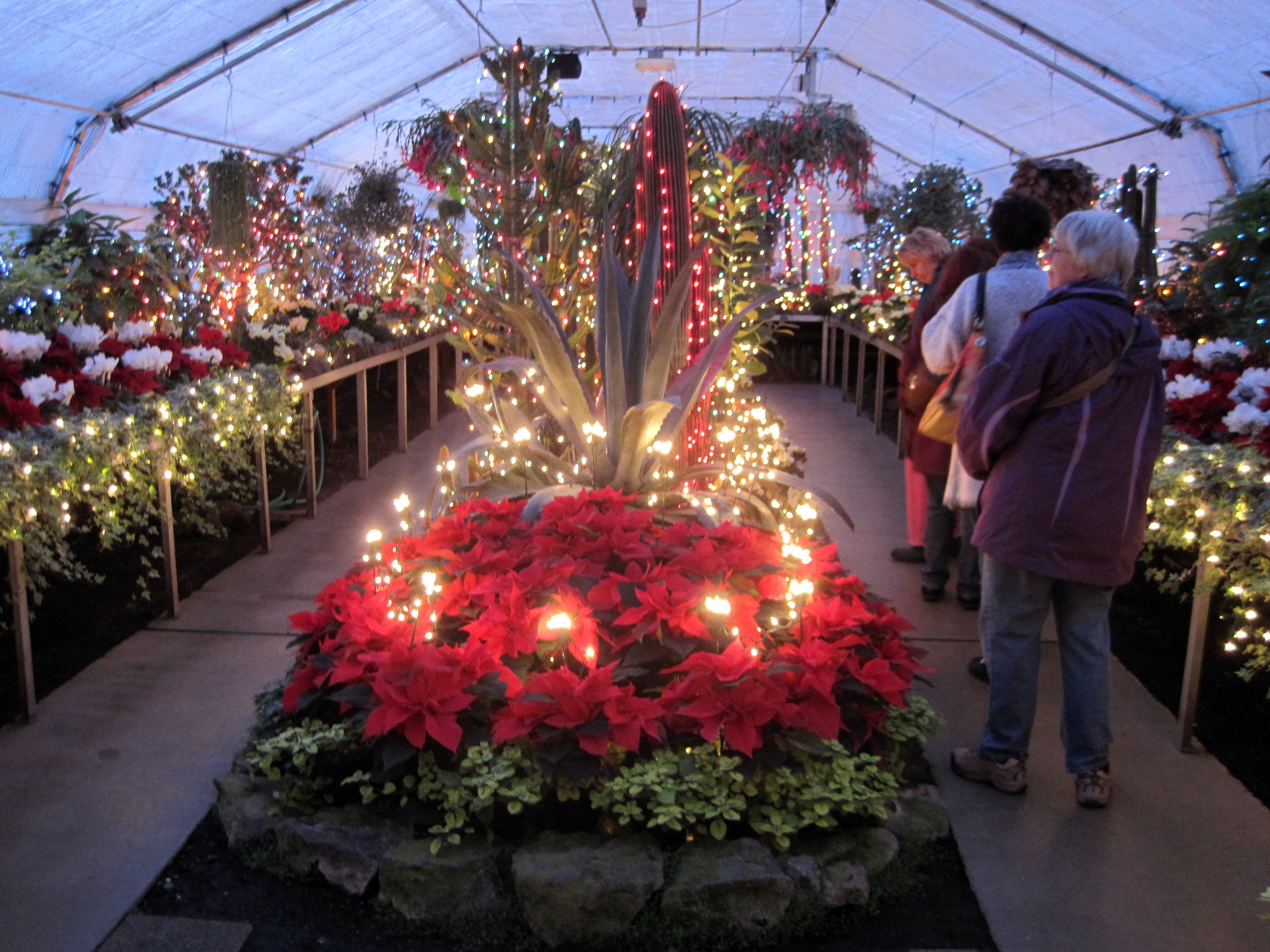 Festive lights adorn park conservatory The SpokesmanReview