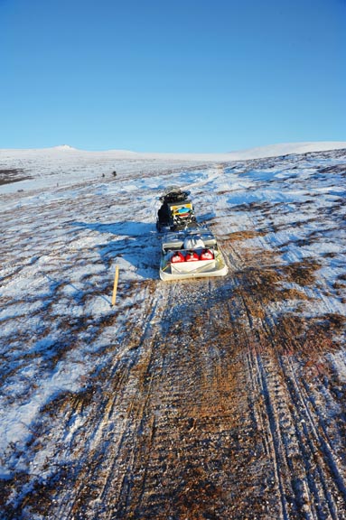 iditarod trail markers