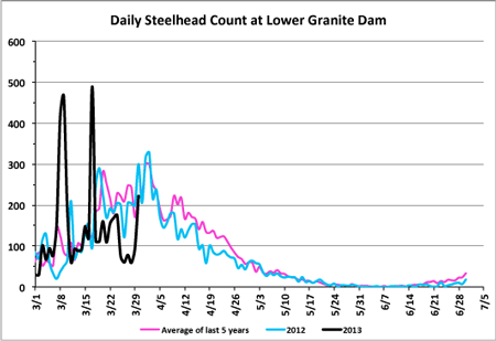Steelhead counts over Lower Granite Dam, posted April 3, 2013. (Fish Passage Center)