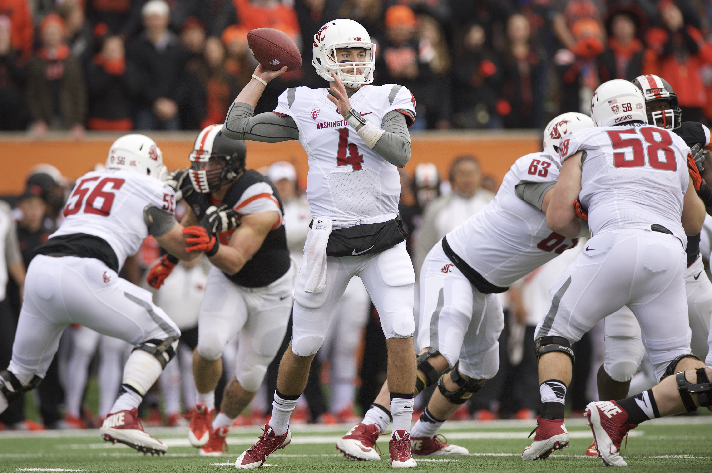 Image result for luke falk washington state associated press