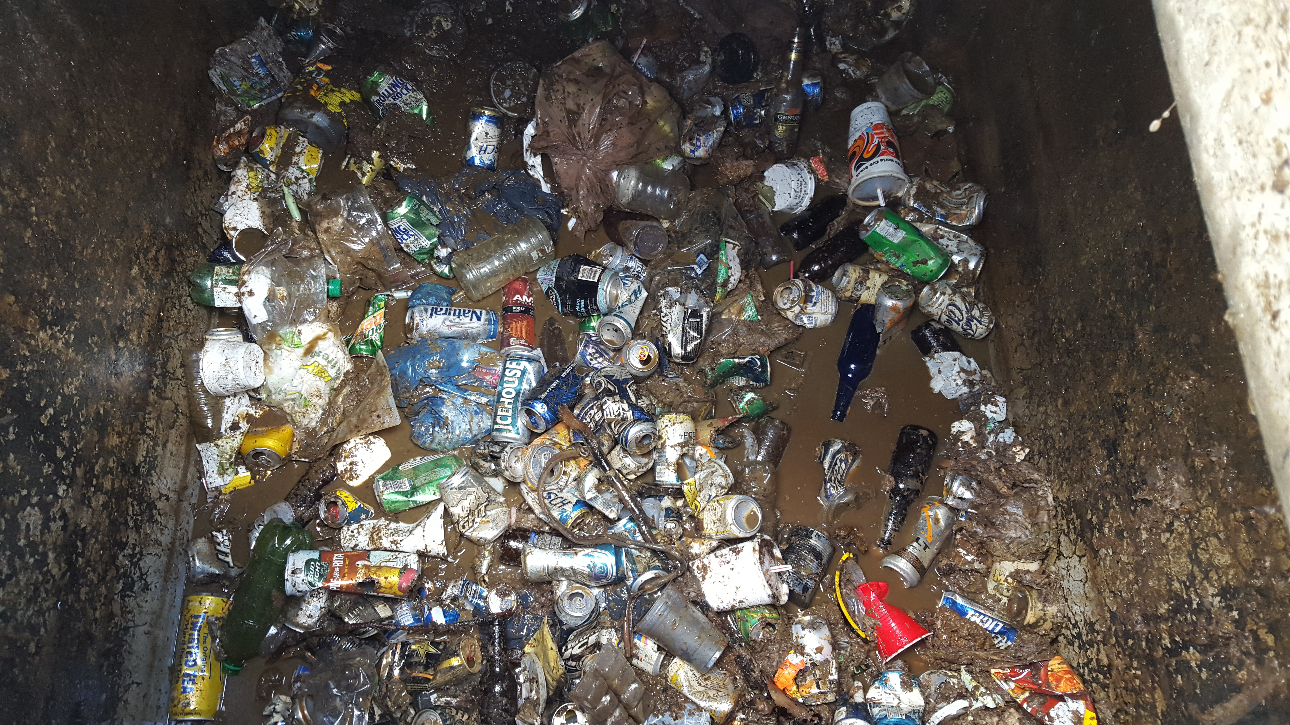 Field Reports Trashed Toilet Becomes Money Pit At Liberty
