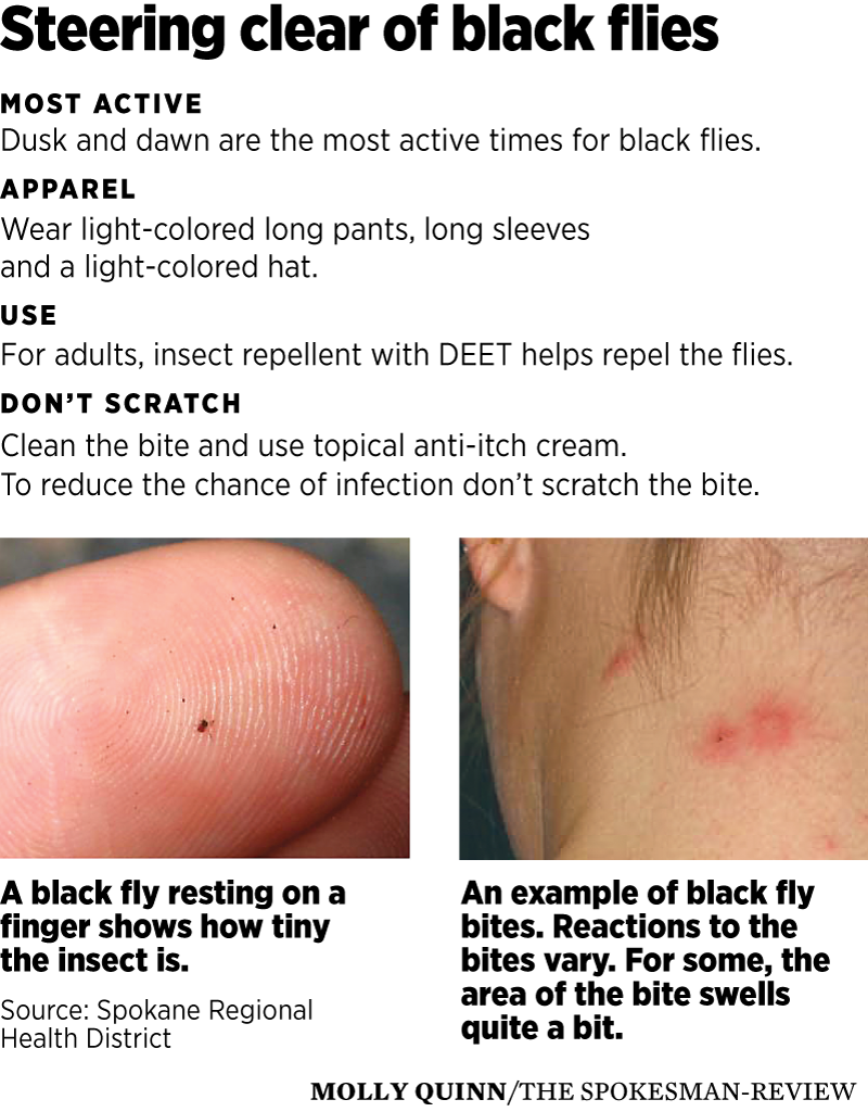 here-are-8-common-bug-bites-and-how-you-can-recognize-them