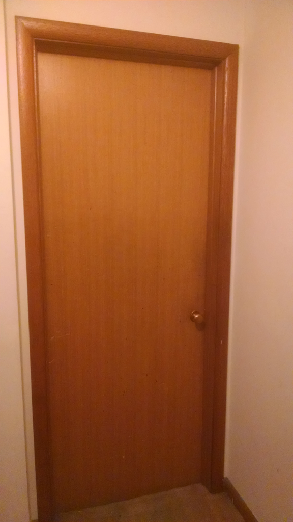 You see a door to the North. It is wooden and has a round metal handle.