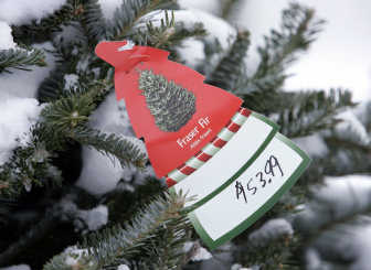 Canada S Christmas Tree Blues The Spokesman Review