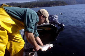 Pend Oreille River Depth Chart