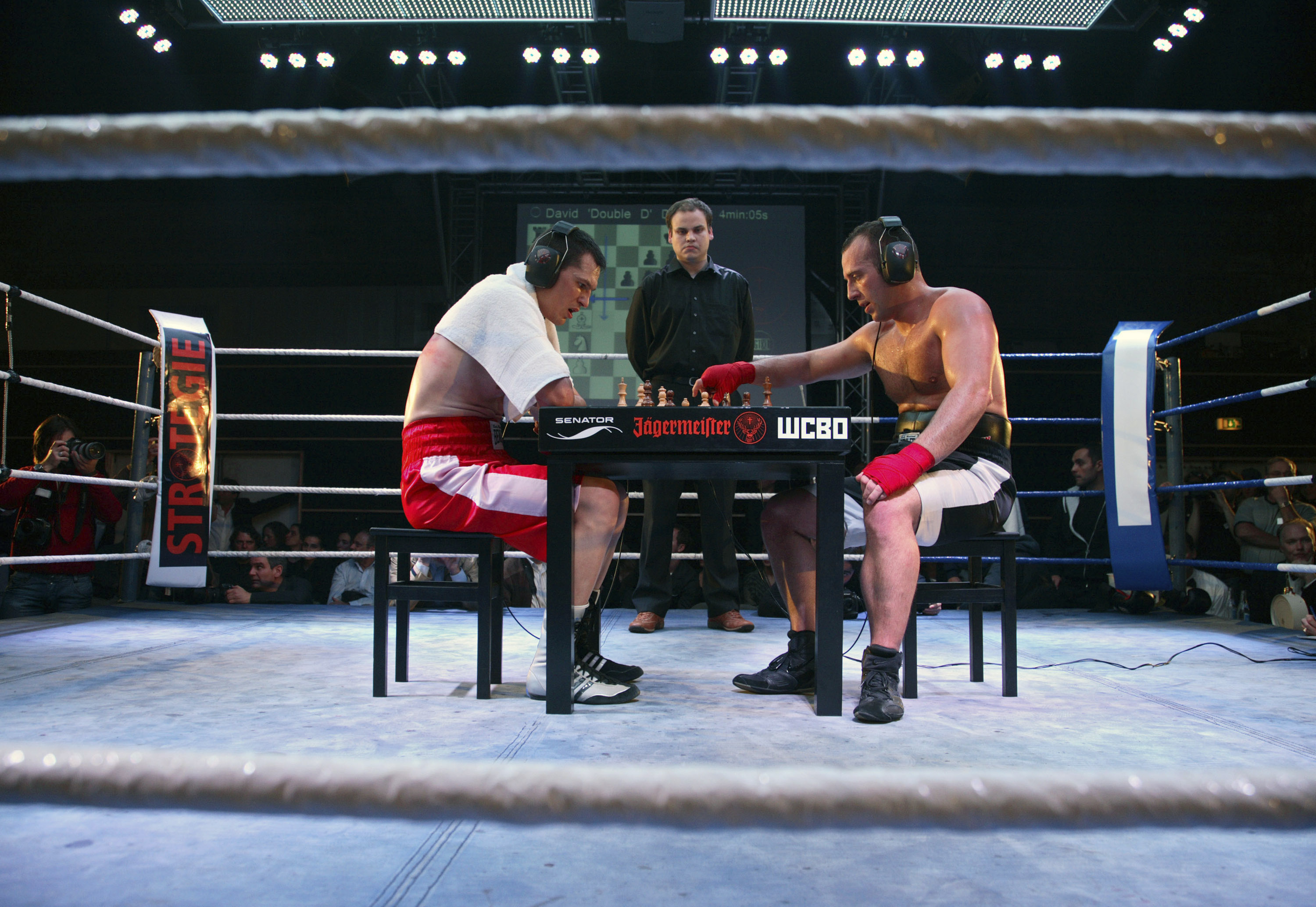 Boxer stuggling with chess game, Stock image