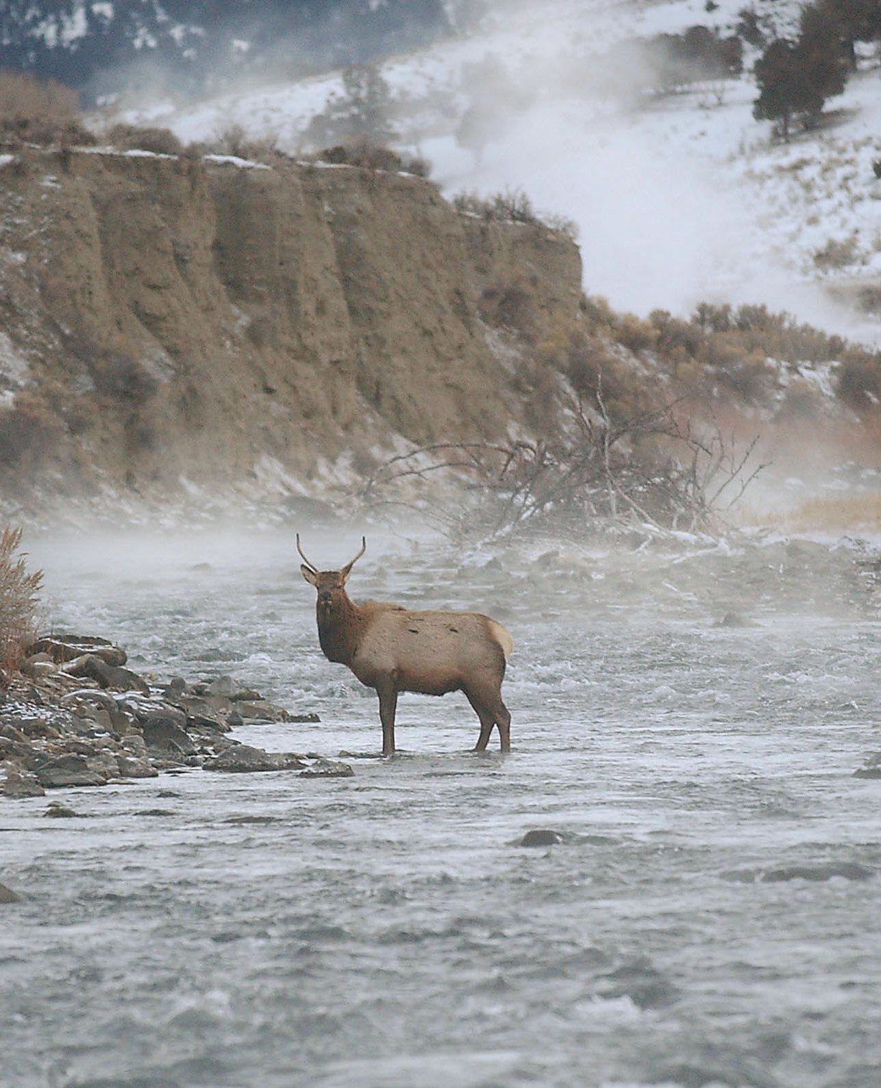 https://media.spokesman.com/photos/2008/09/28/out28_yellowstone_09-28-2008_17EAEL4.jpg