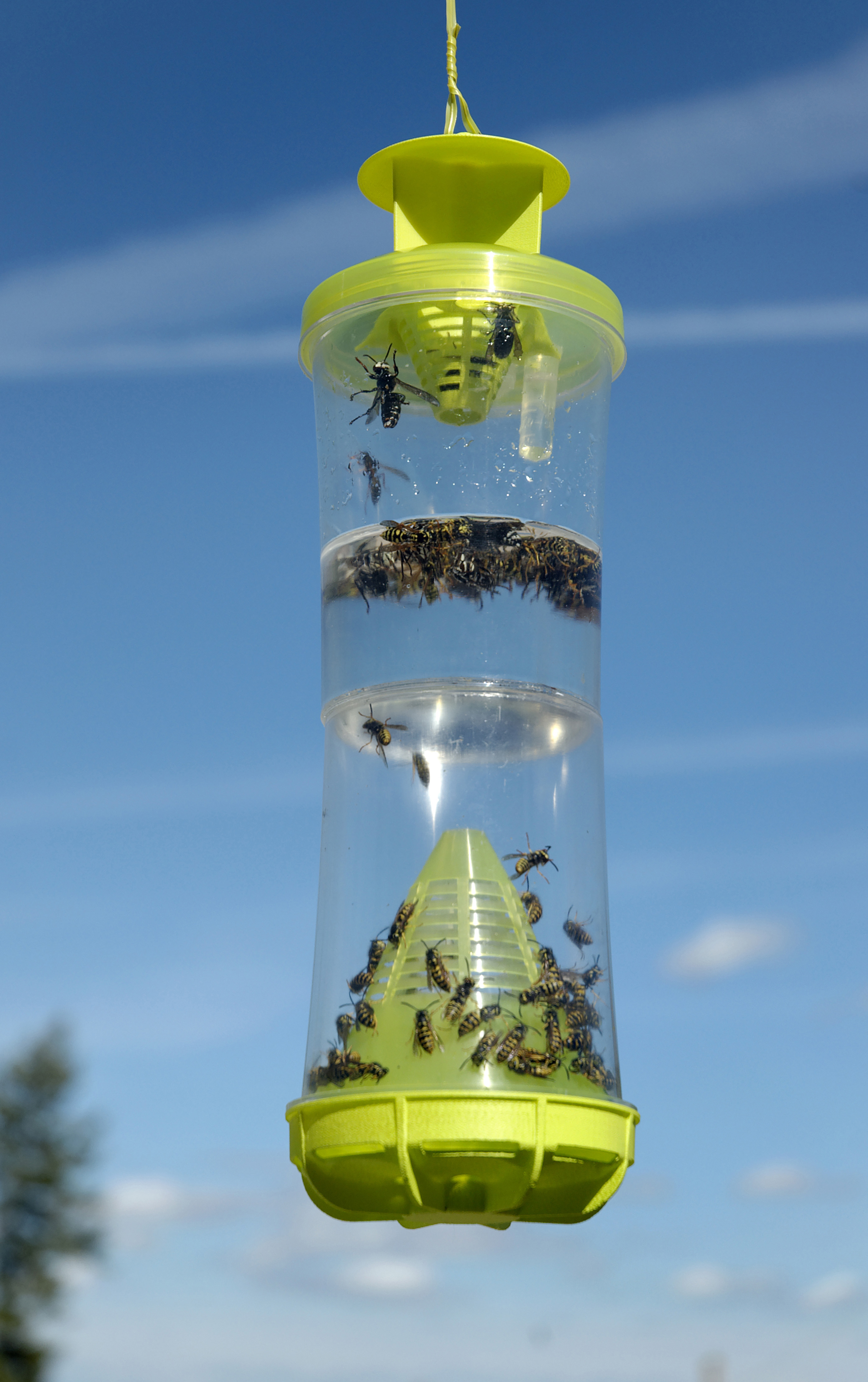 Company says it's built a better bug trap