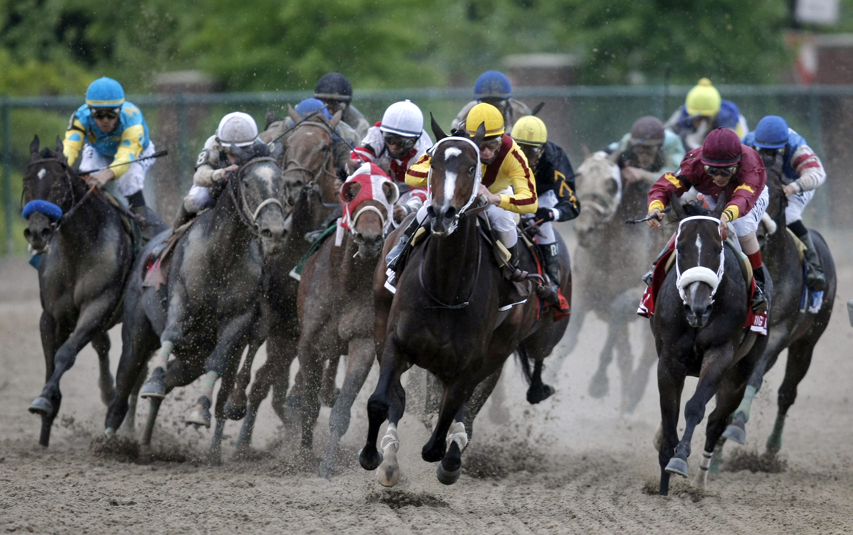 Preakness Stakes Chart