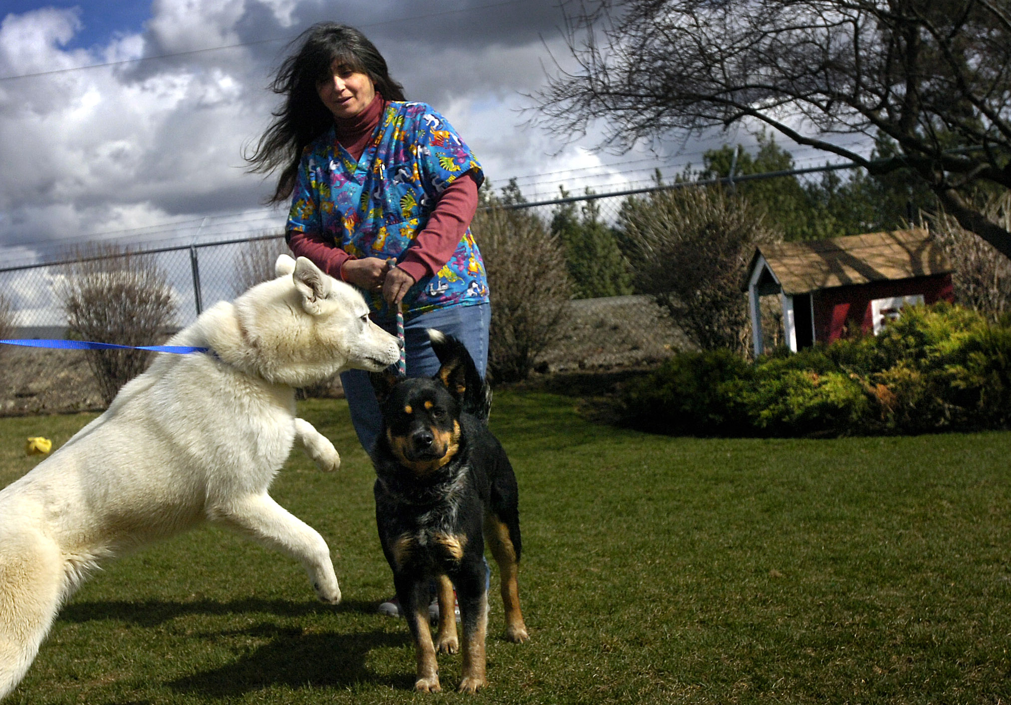 simonet-was-dogs-best-friend-the-spokesman-review