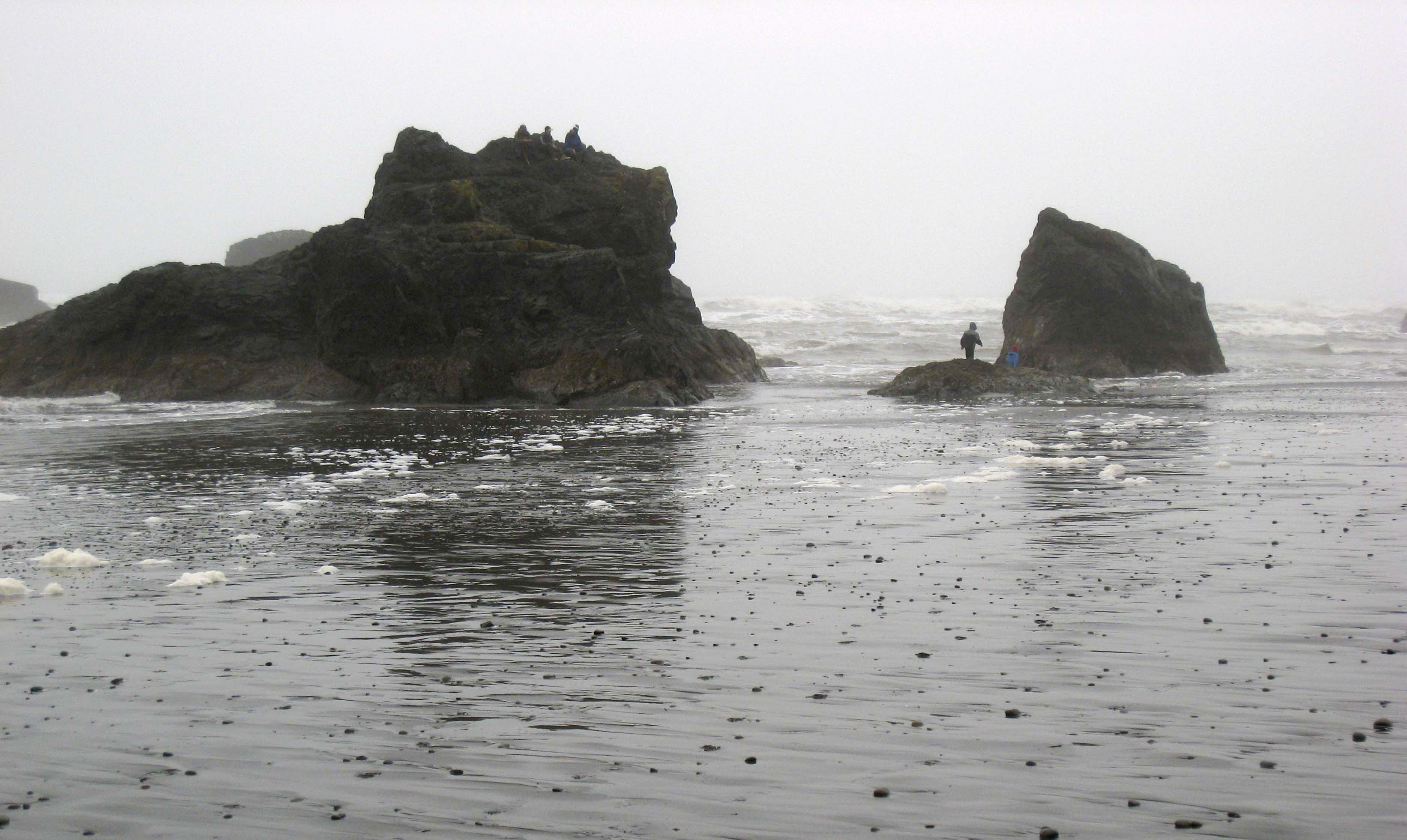 Kalaloch Lodge Offers Up Close View Of Coast S Dramatic Clime