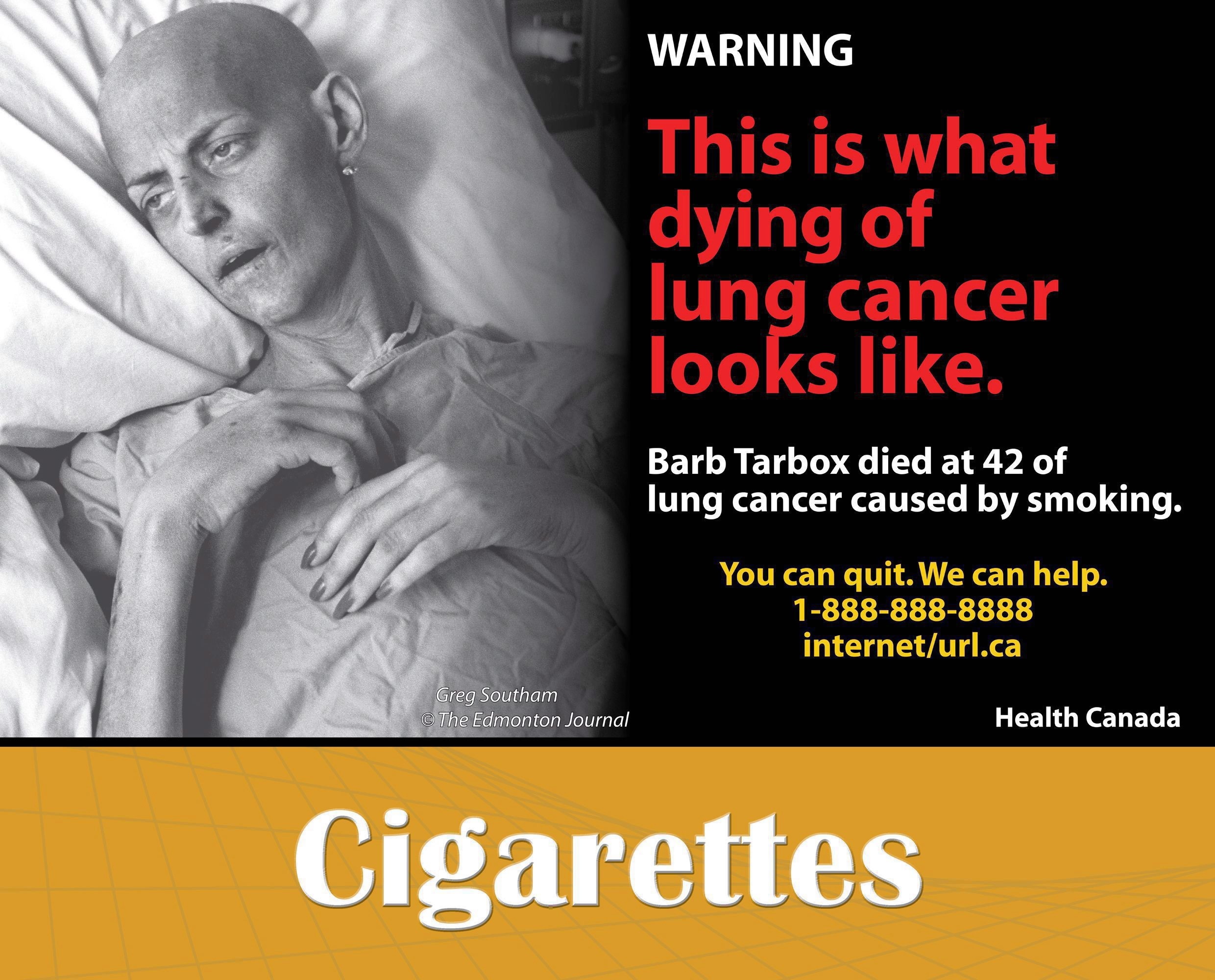 Barb tarbox model