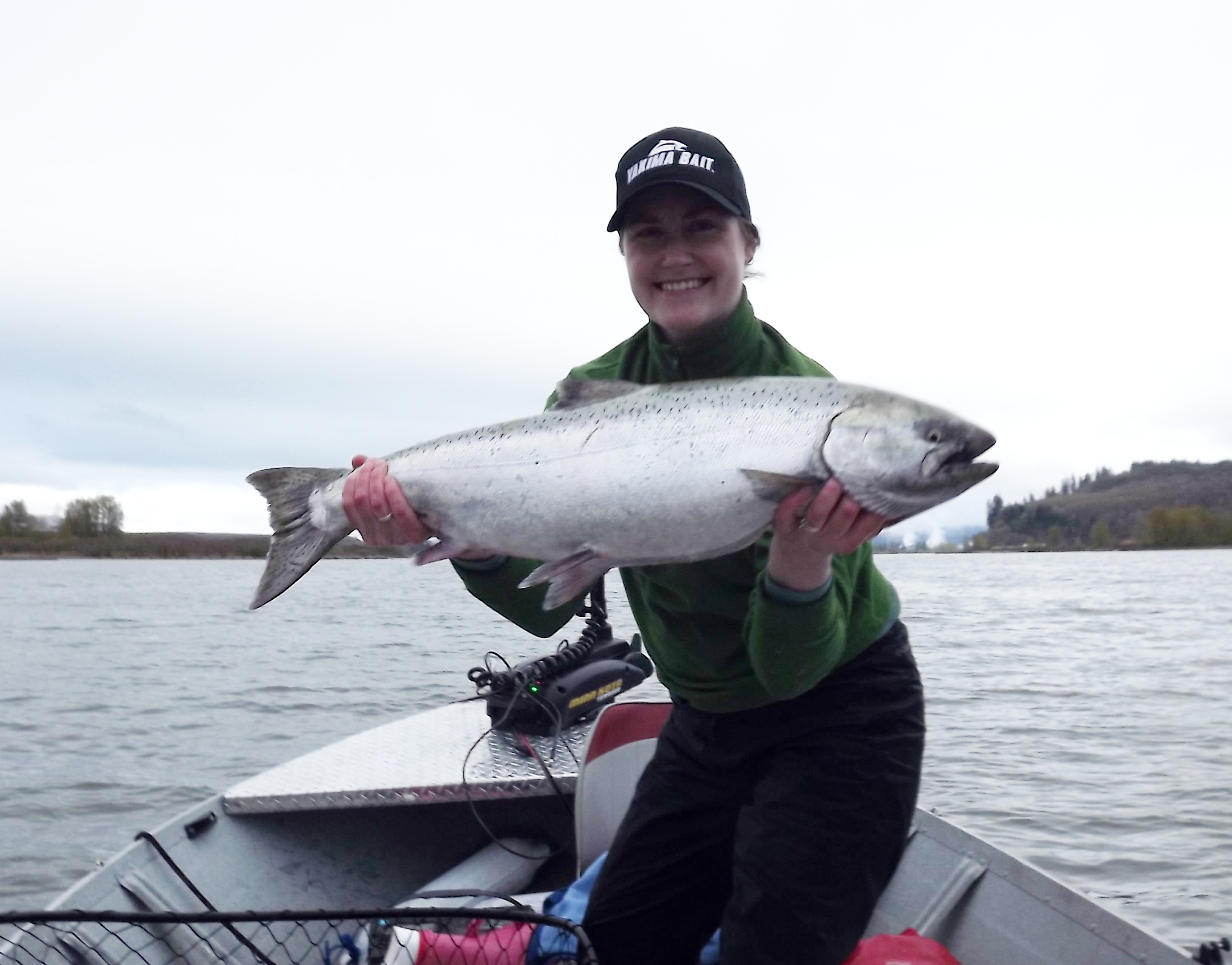 Idaho salmon leads 2015 run up the Columbia The SpokesmanReview