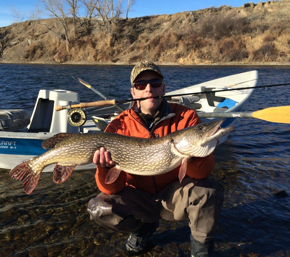Fly fisher lands 16-pound pike from 'Best Trout Stream in America