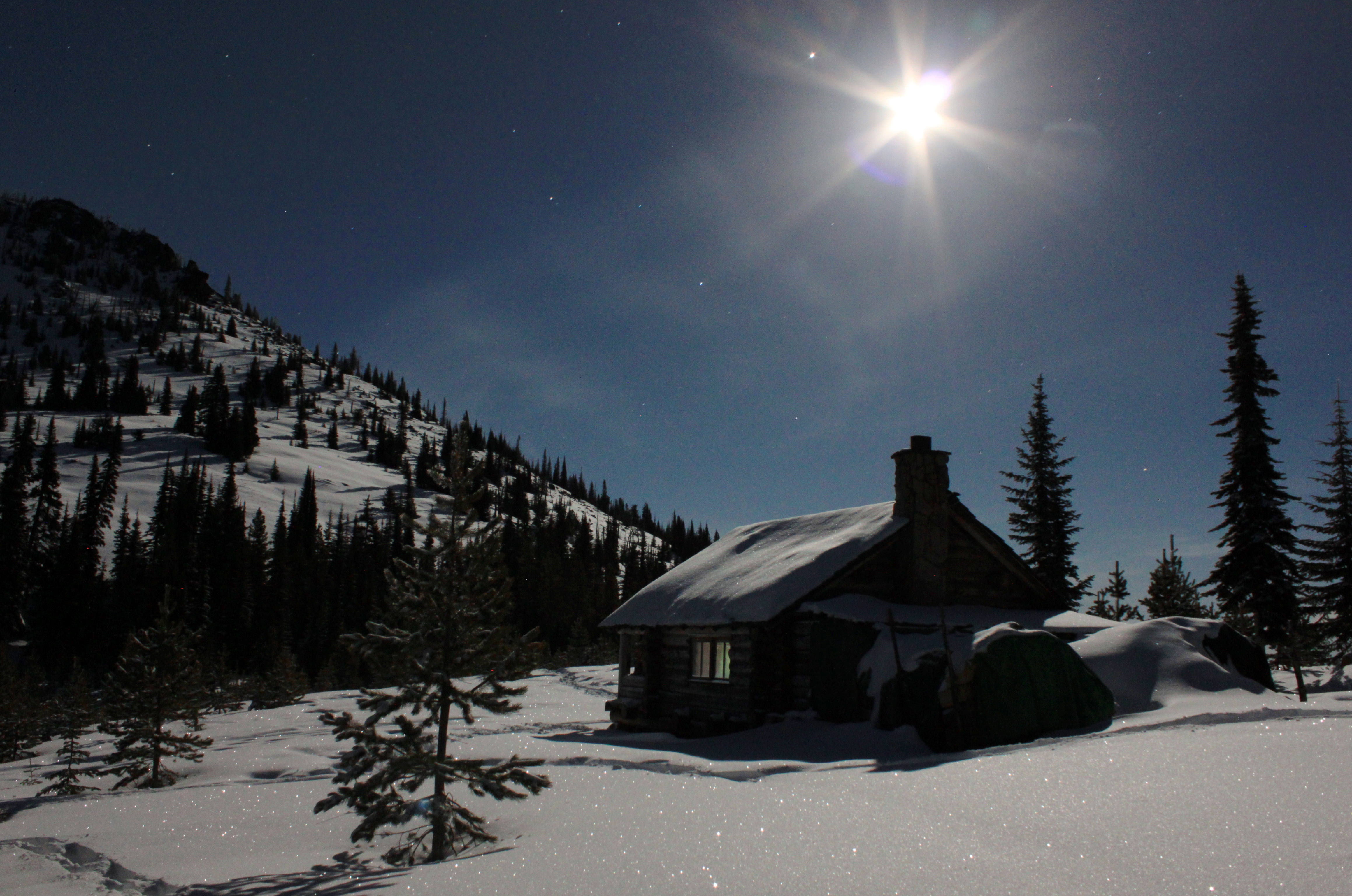 Photo Luster Of Snow Pines Under Full Moonlight Swx Right Now