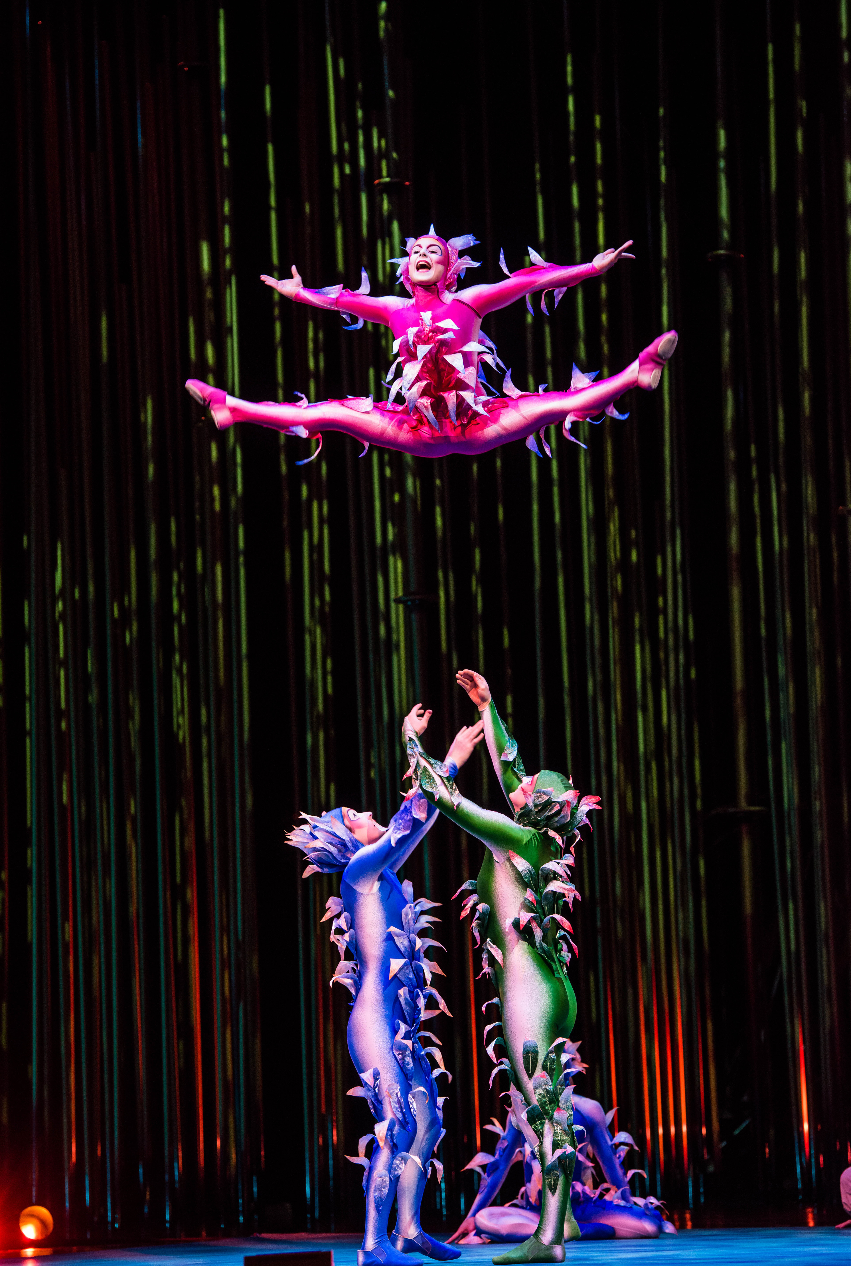 cirque du soleil varekai full movie