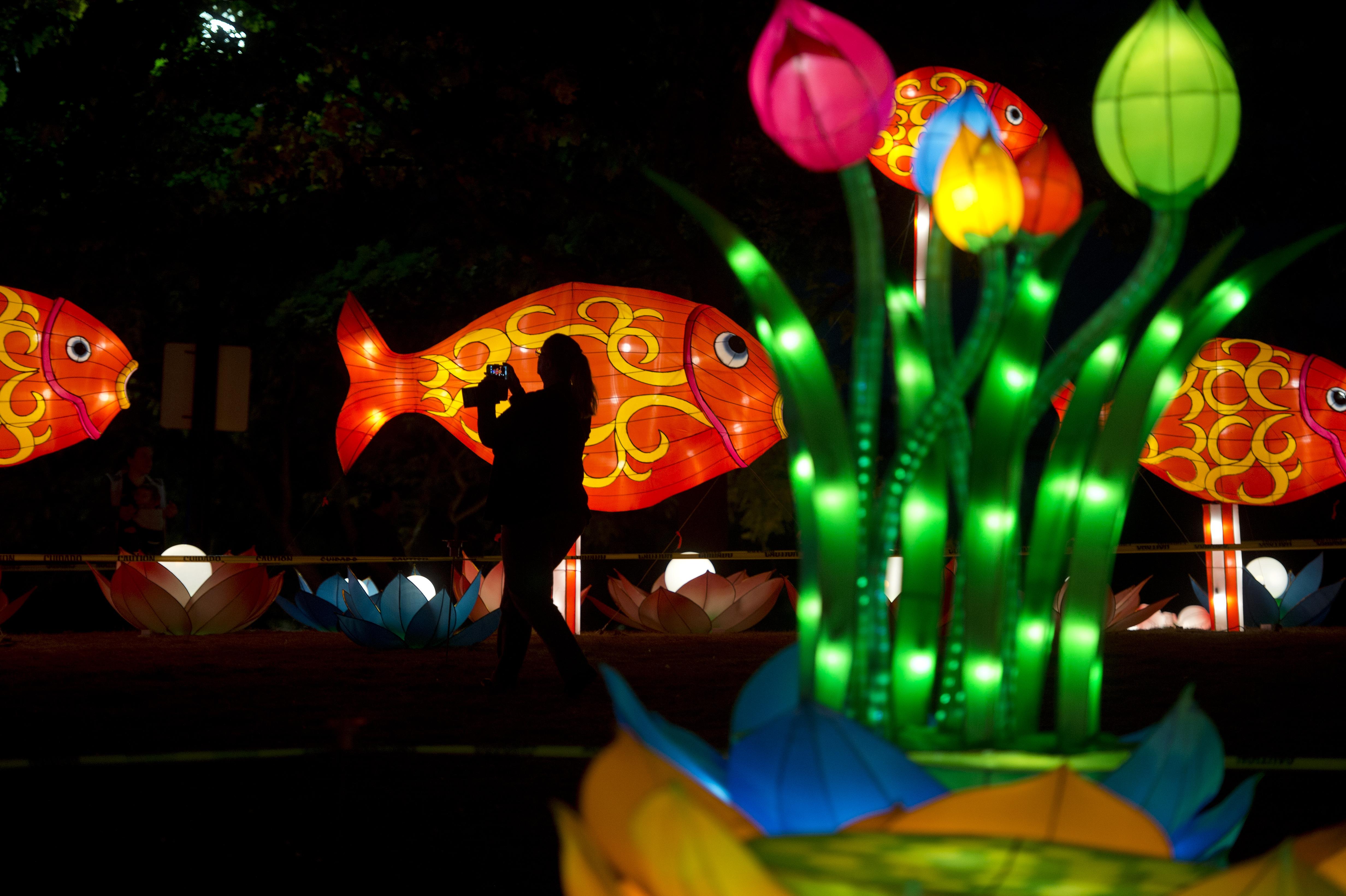 asian lantern festival 2021 cleveland