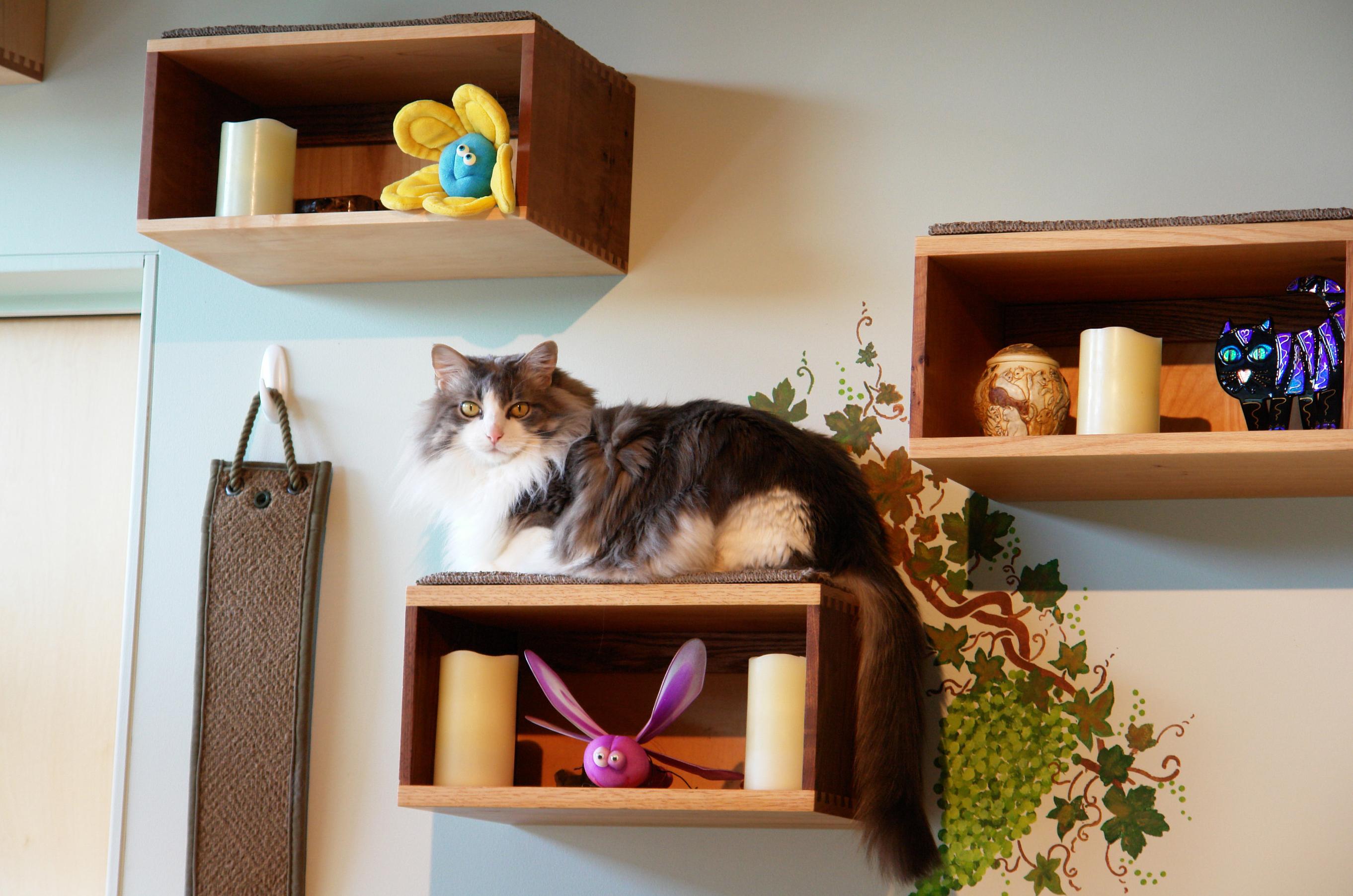 Catify To Satisfy Home Enhancement Tips For Cat Owners The This Photo Provided By Tarcher Perigee Shows Custom Built Bo That Provide Both Storage And