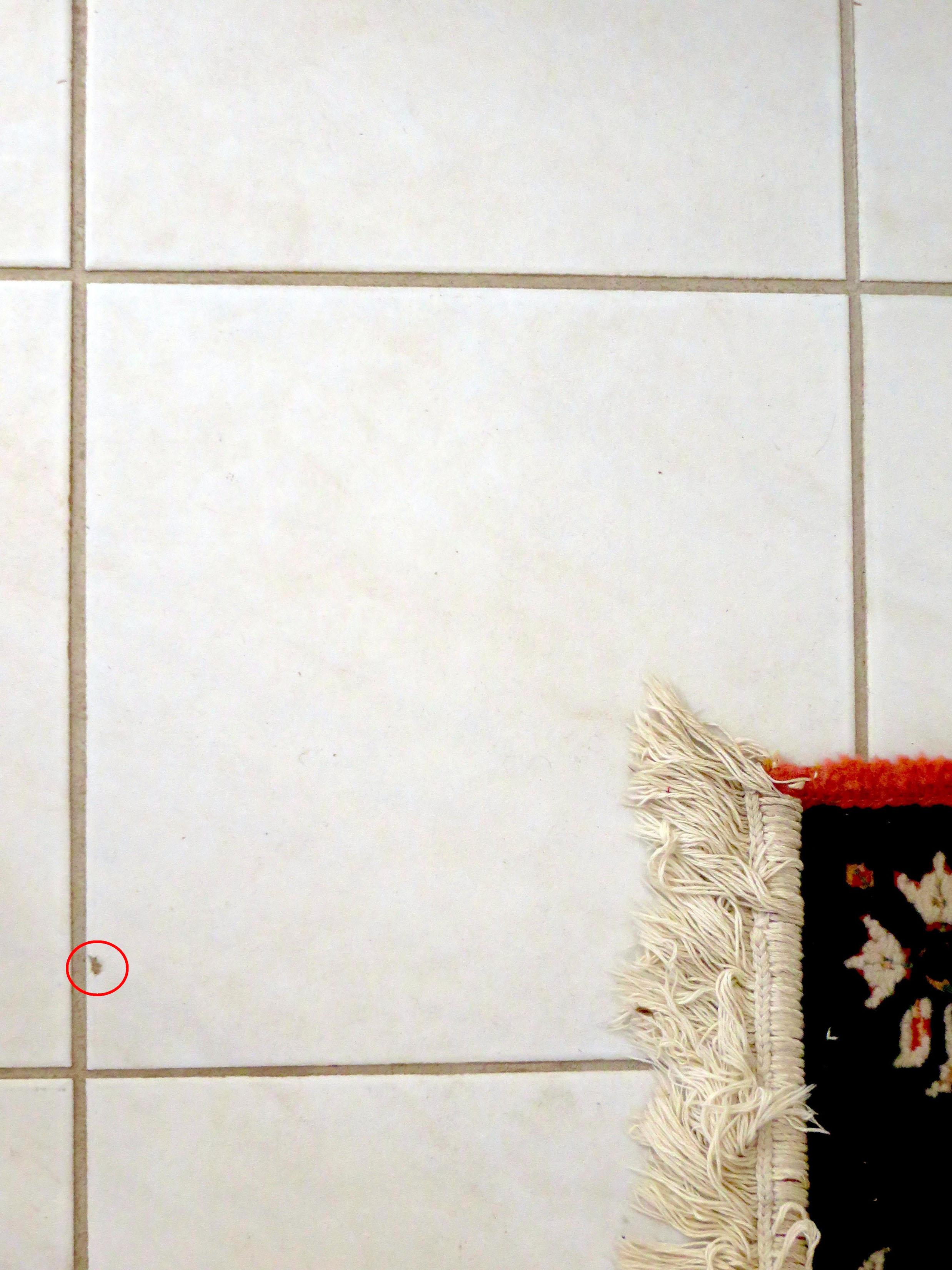 How To Repair A Chipped Tile With Epoxy And Paint The Spokesman