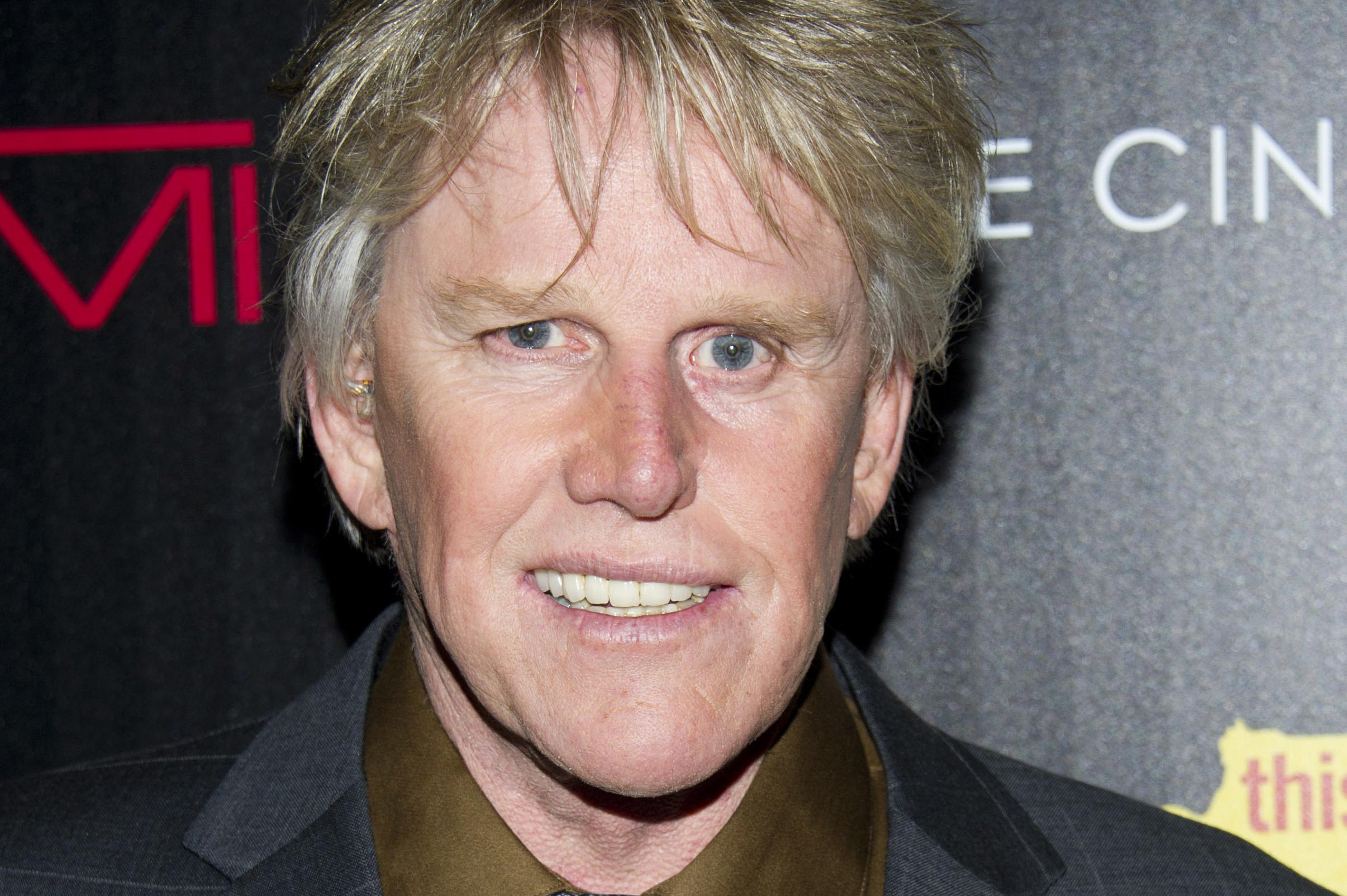 Exploring The Life And Career Of Gary Busey: A Comprehensive Biography