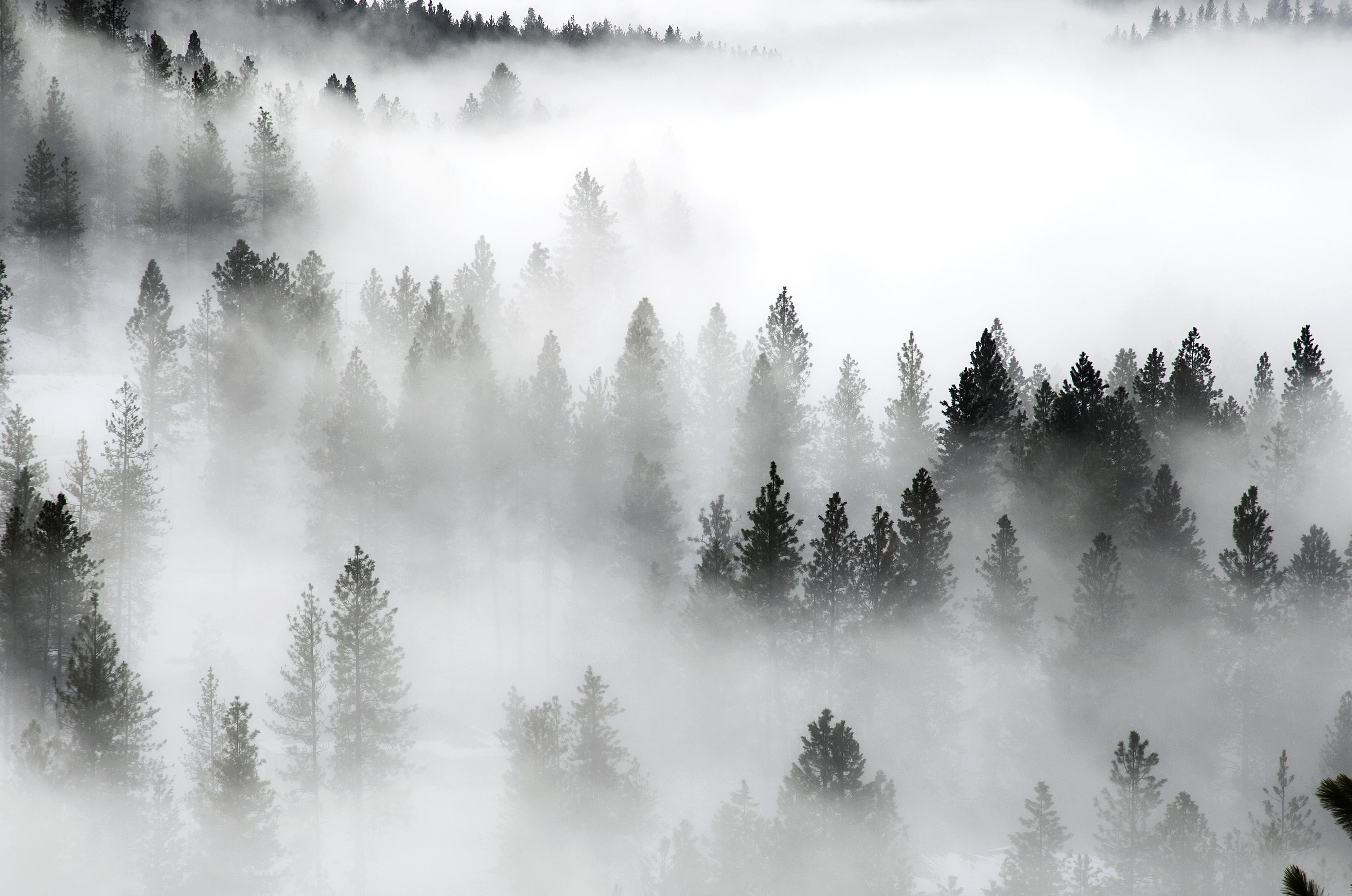 Inland Northwest in the thick of peak fog season | The Spokesman ...