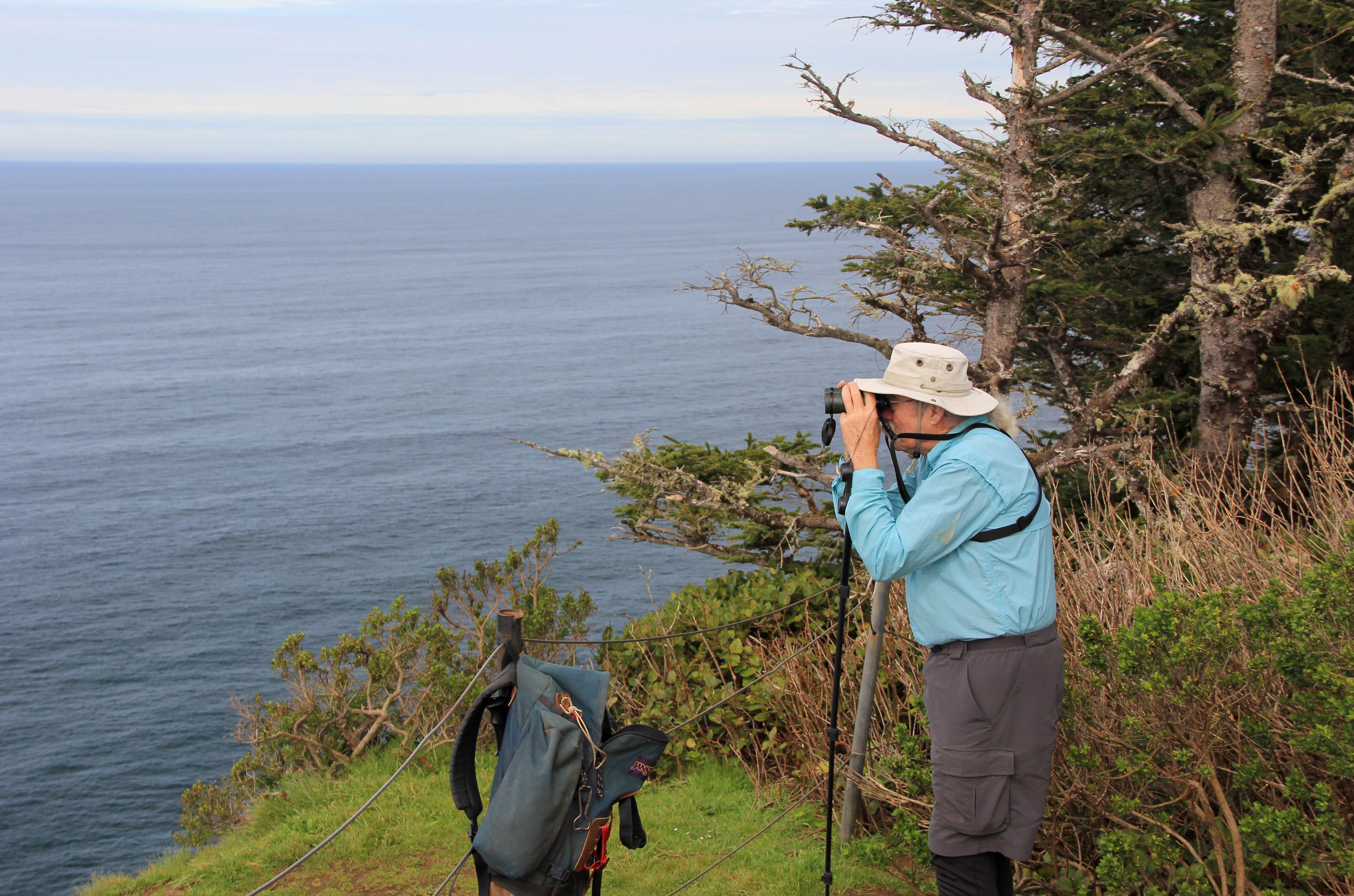 Now’s the time for whale watching on Oregon Coast | The Spokesman-Review