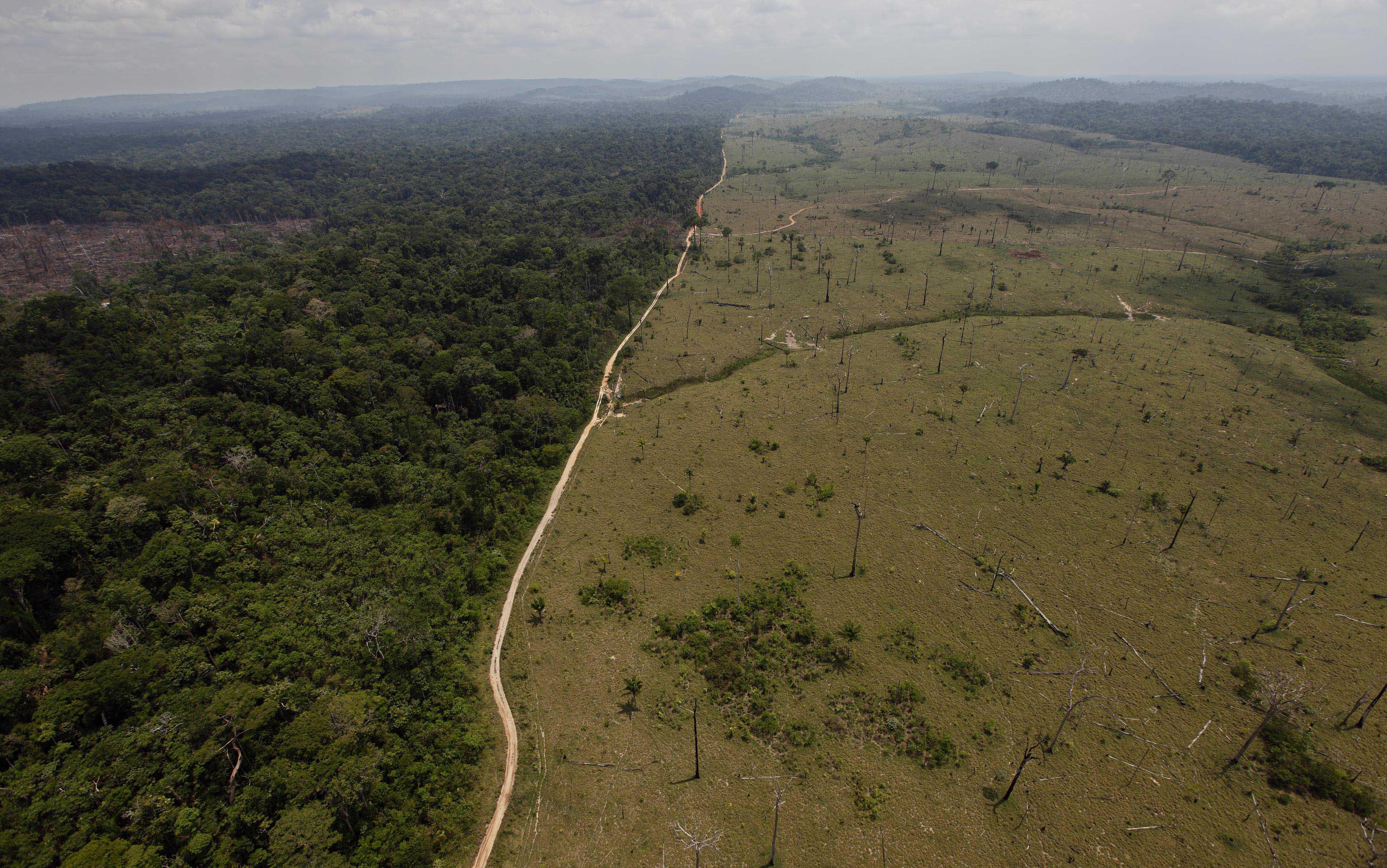 brazil-s-rollback-of-environmental-rules-a-blow-to-paris-climate-pact