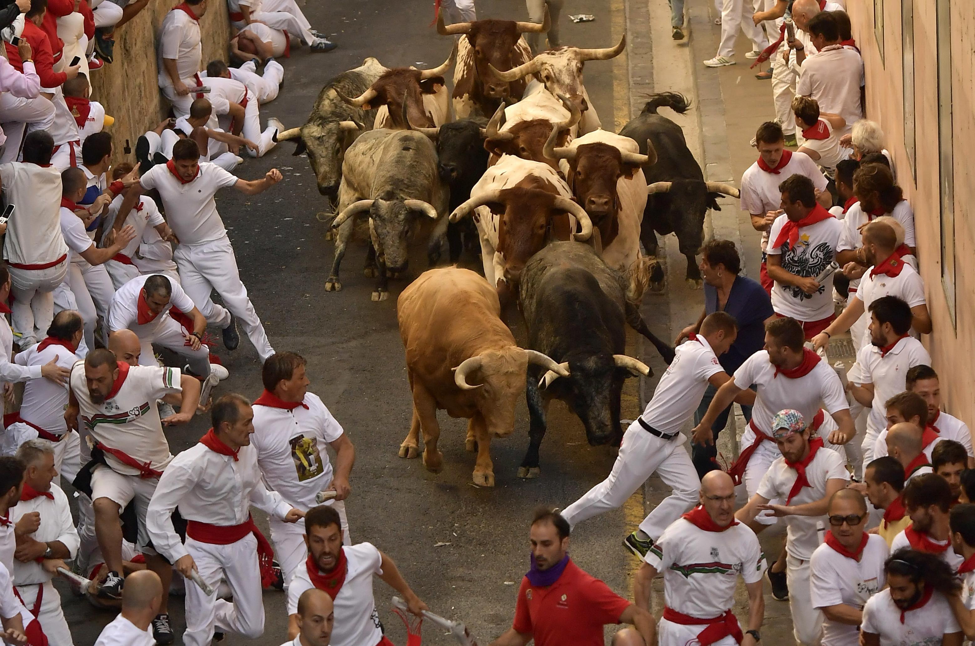 People dressed all in white with red bandanas, capes, and belts jump out of the way of a clump of ten bulls with long curled horns in the street.