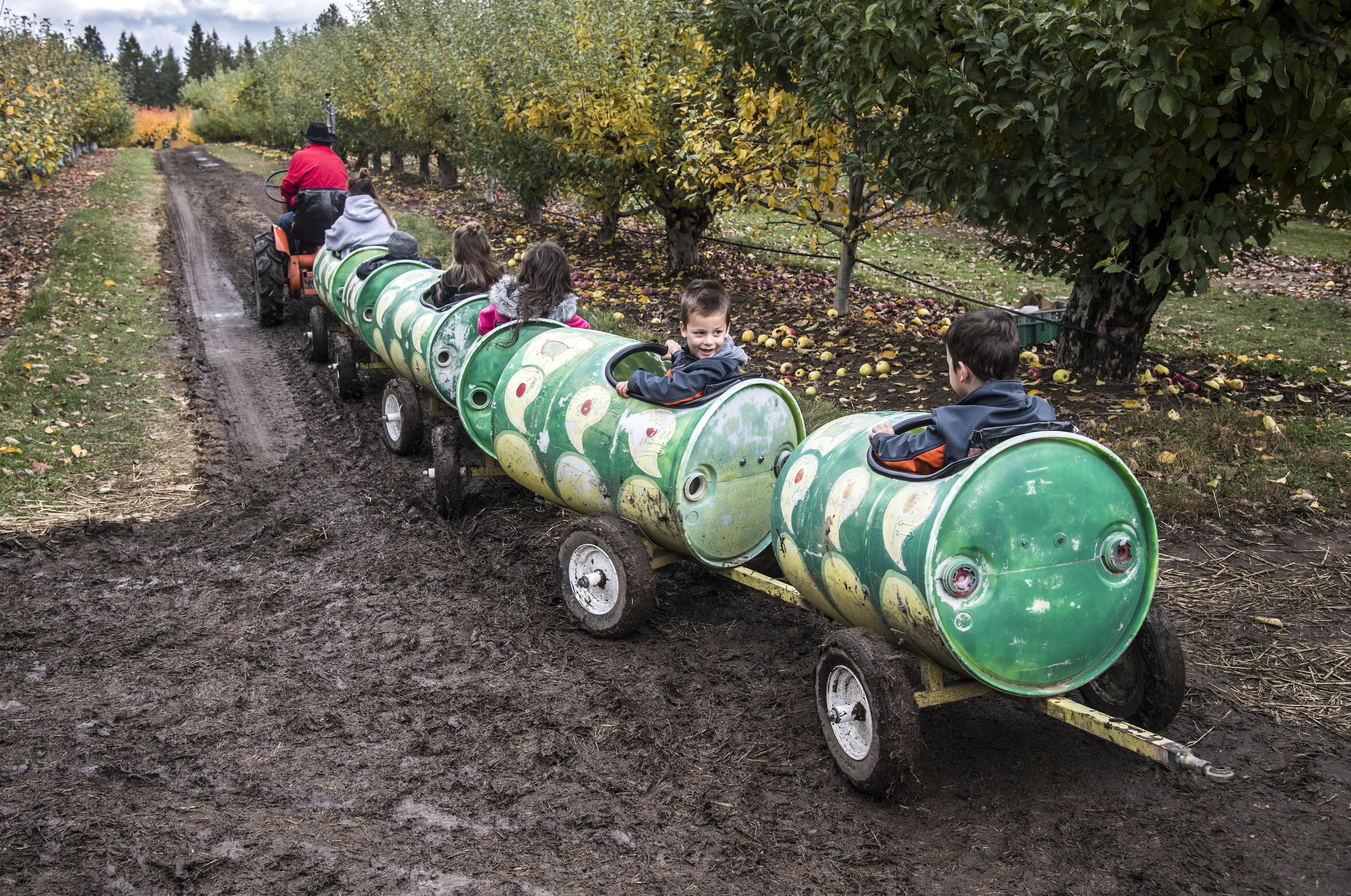 The 7 Where To Go And What To Do In Green Bluff In October The 