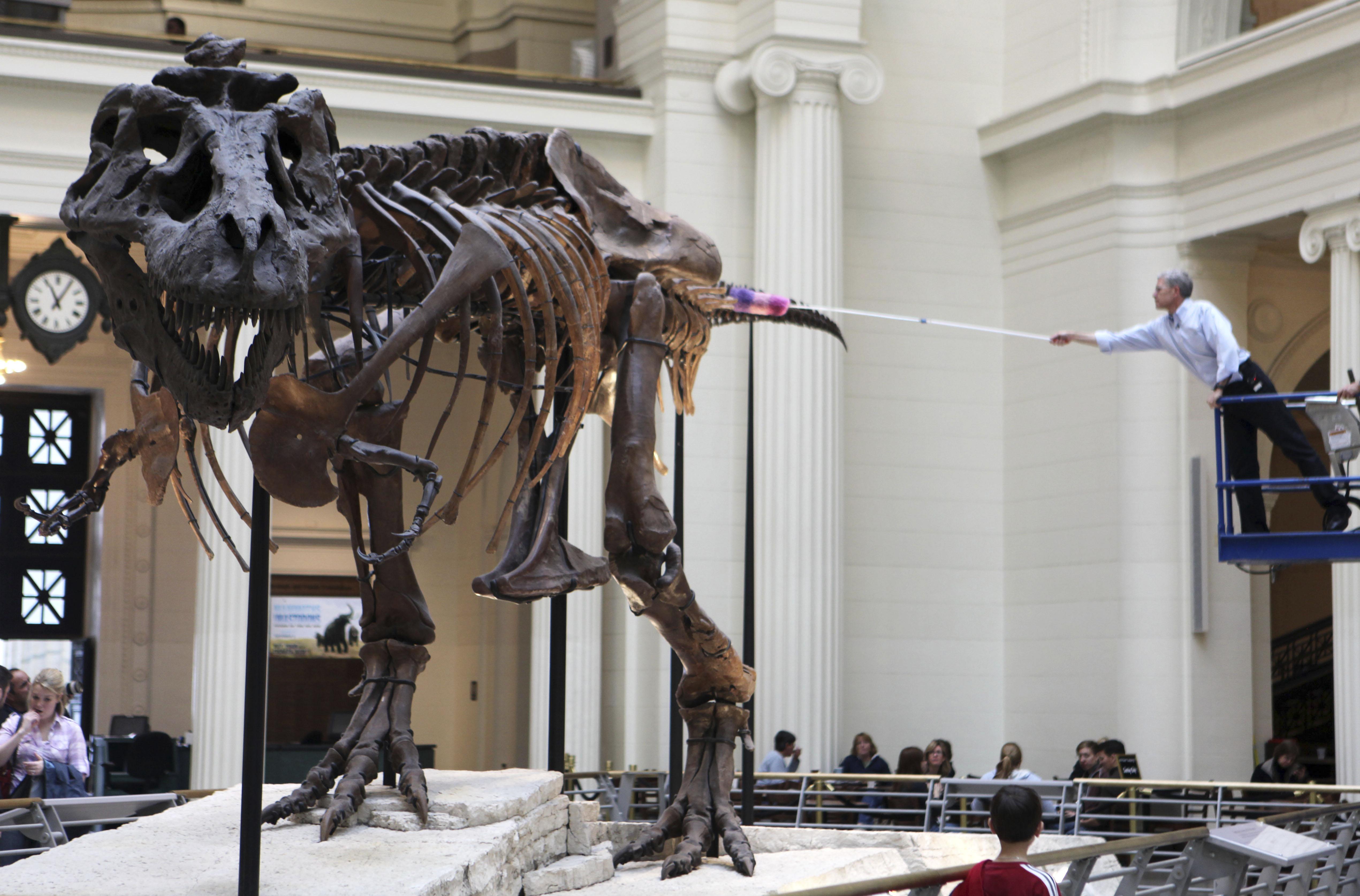 museum with t rex skeleton