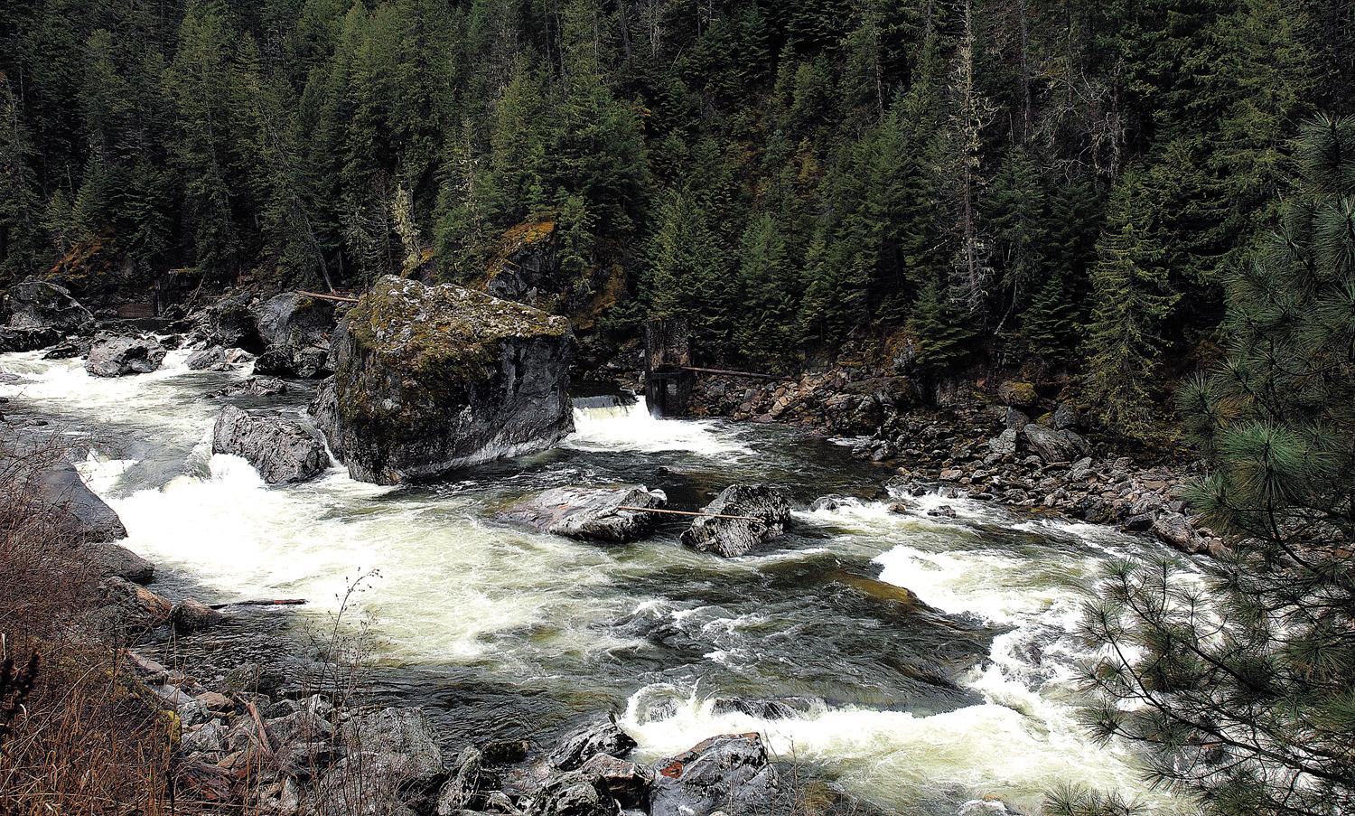Four People Missing After Vehicle Plunges Into Remote Selway River 