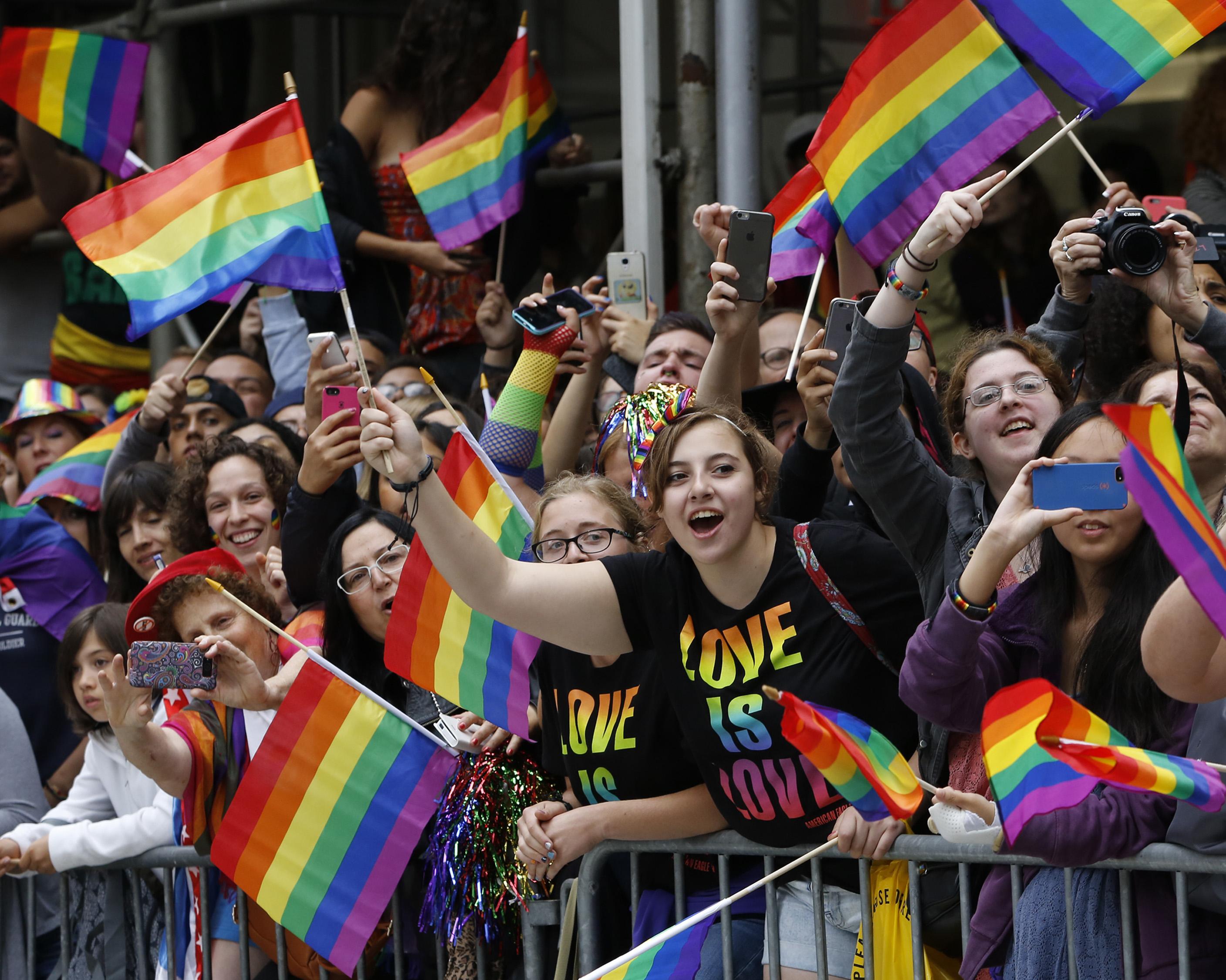 gay flag photo