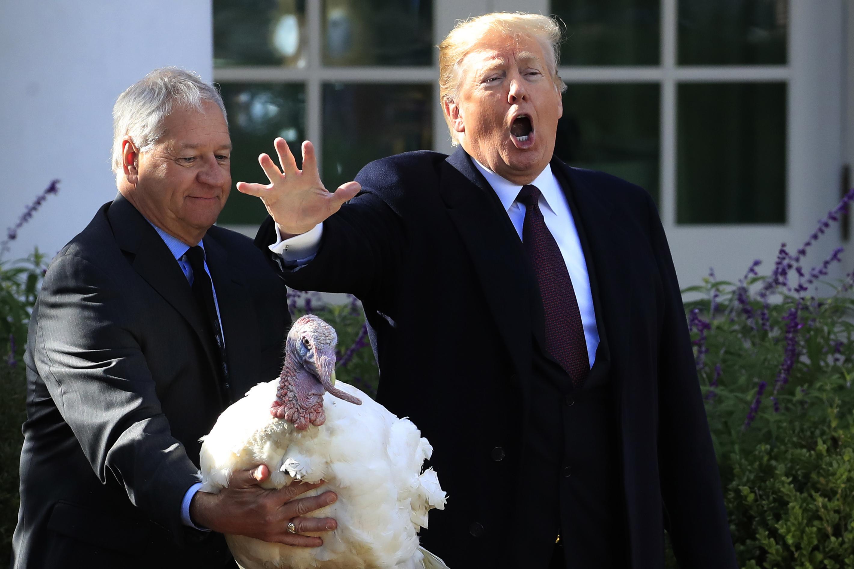 Trump Turkey-Grabbing)