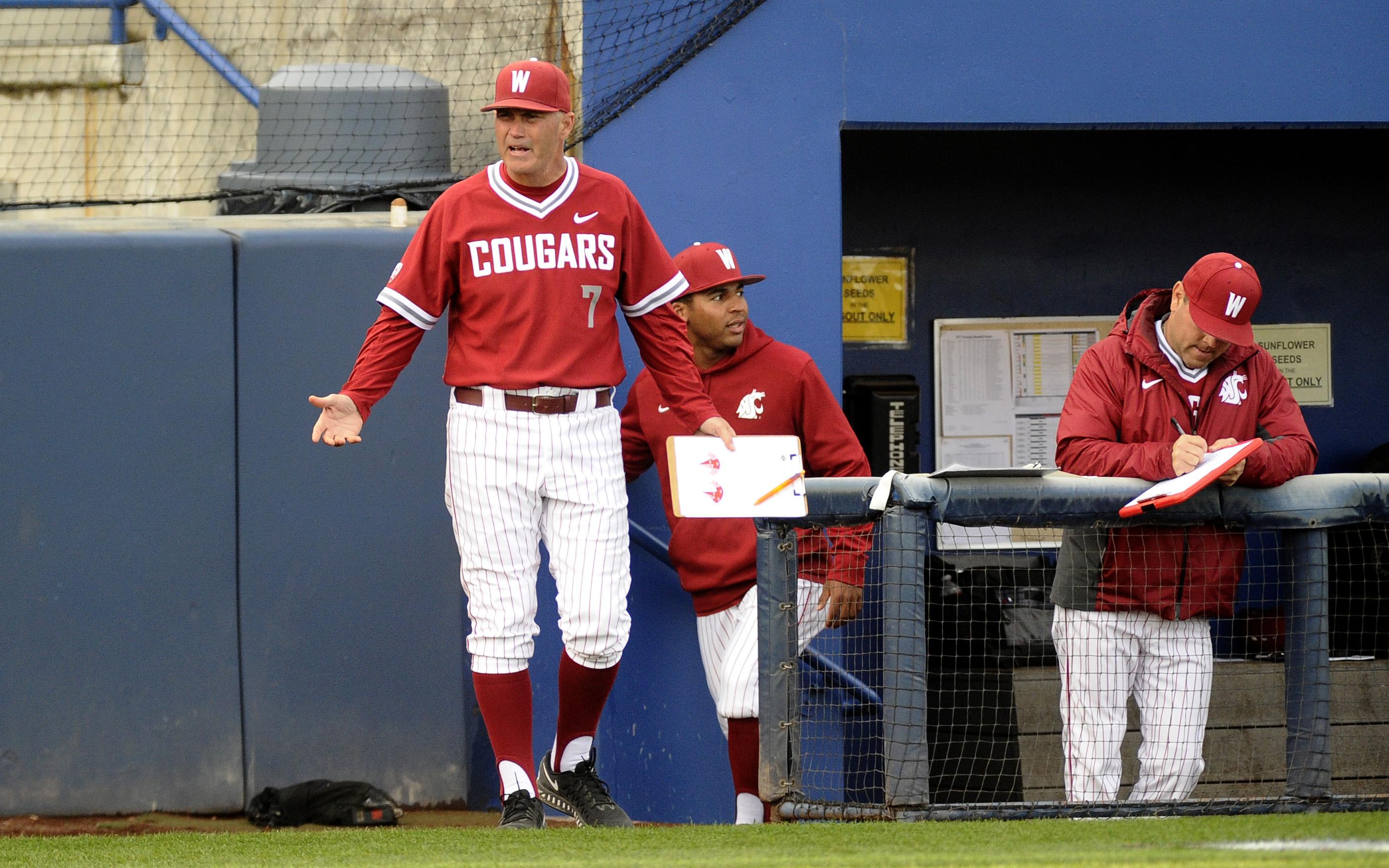 wsu baseball jersey