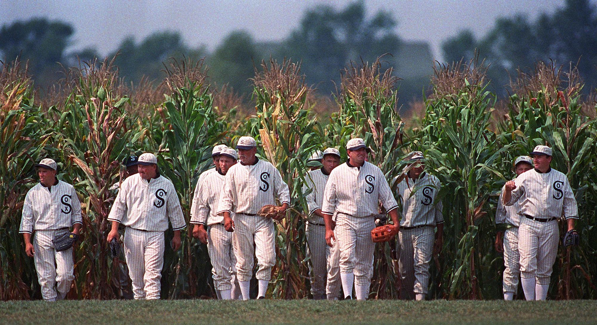 Image result for cornfield baseball