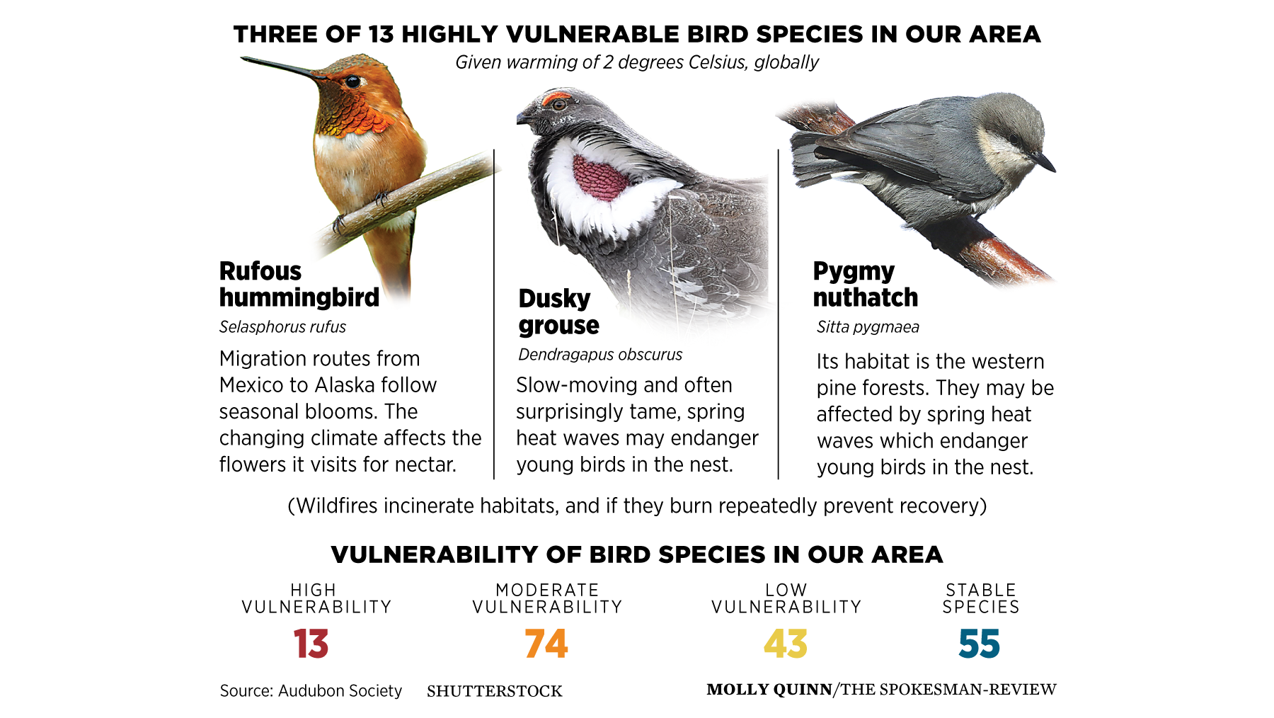Birds In Crisis Report Predicts Drastic Losses In Inland - 