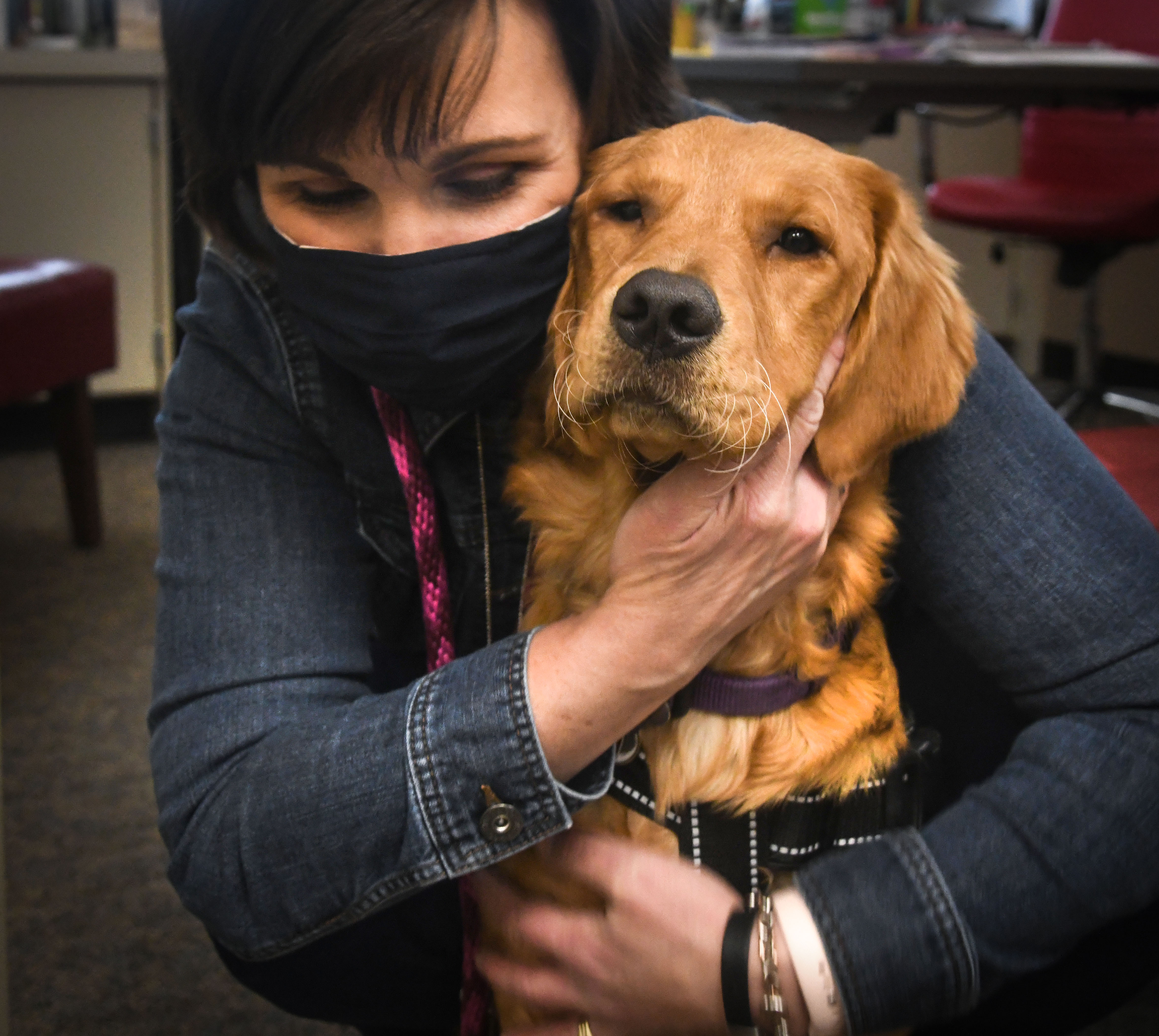 Emotional support dogs in school? Animals may help grow the class menagerie  in Spokane Public Schools | The Spokesman-Review