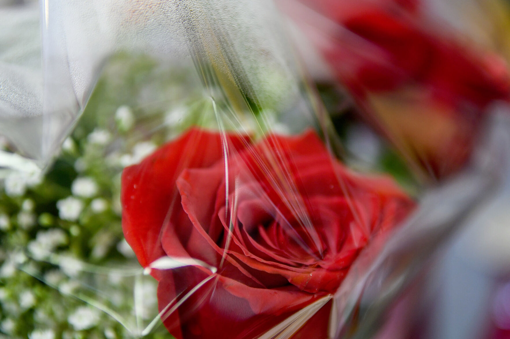 Florists in the area ready for Valentine's Day | The Spokesman-Review