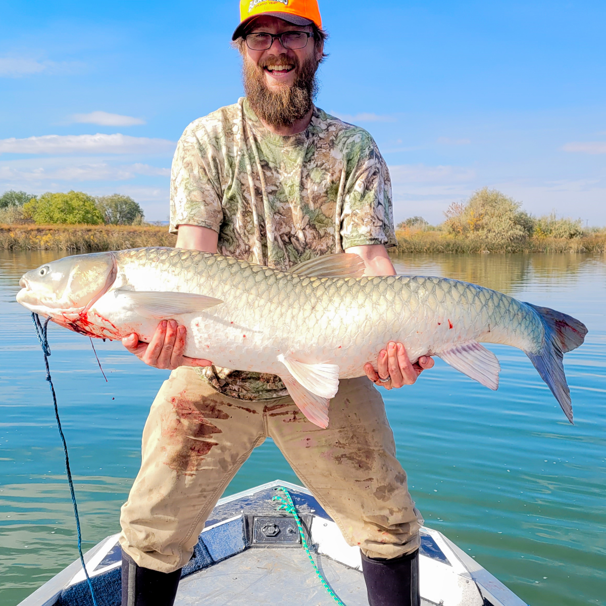Boise-area angler smashes Idaho fishing record for grass carp with 46-pound  fish