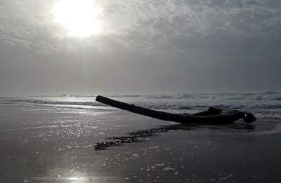 Bandon, beach debris