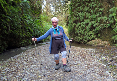 Fern Canyon, Prairie Creek State Park, Redwoods